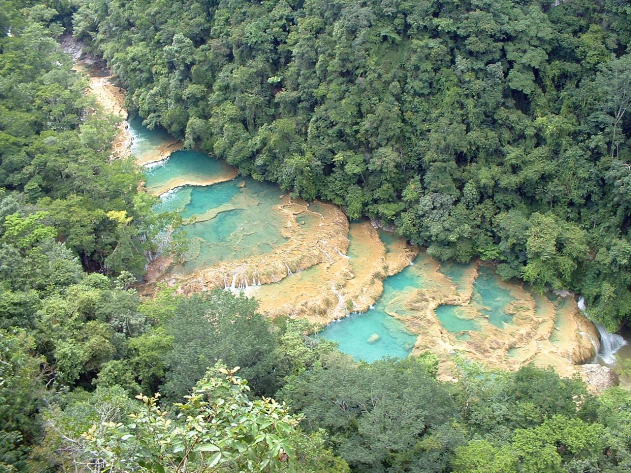 Semuc Champey: Türkisblaue Naturpools und verborgene Höhlen im Dschungel