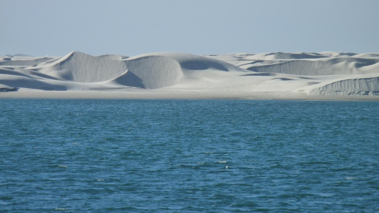 Abenteuer in der Baja-Wüste: Wale beobachten und Sanddünen erkunden