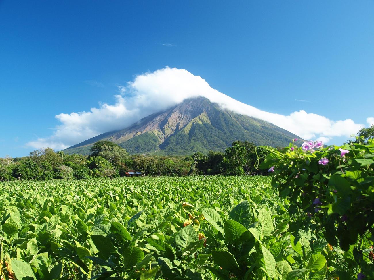 Yoga, heiße Quellen und Natur: Entspannung auf der Vulkaninsel Ometepe