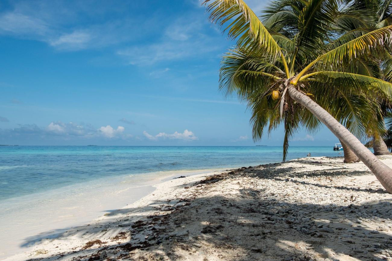 Karibikstrände in Belize: Paradiese zum Entspannen und Abtauchen