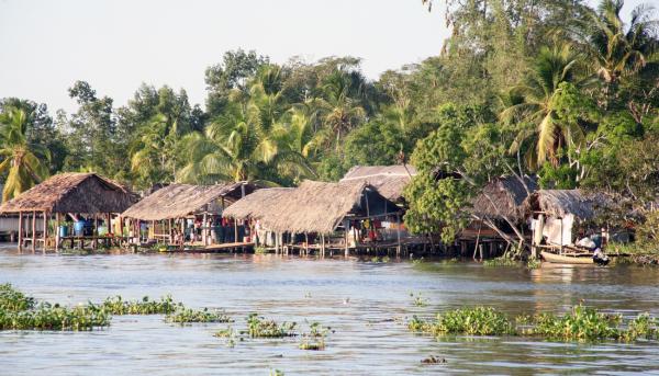 Orinoco-Delta: Mit dem Boot durch Venezuelas wildes Wasserlabyrinth