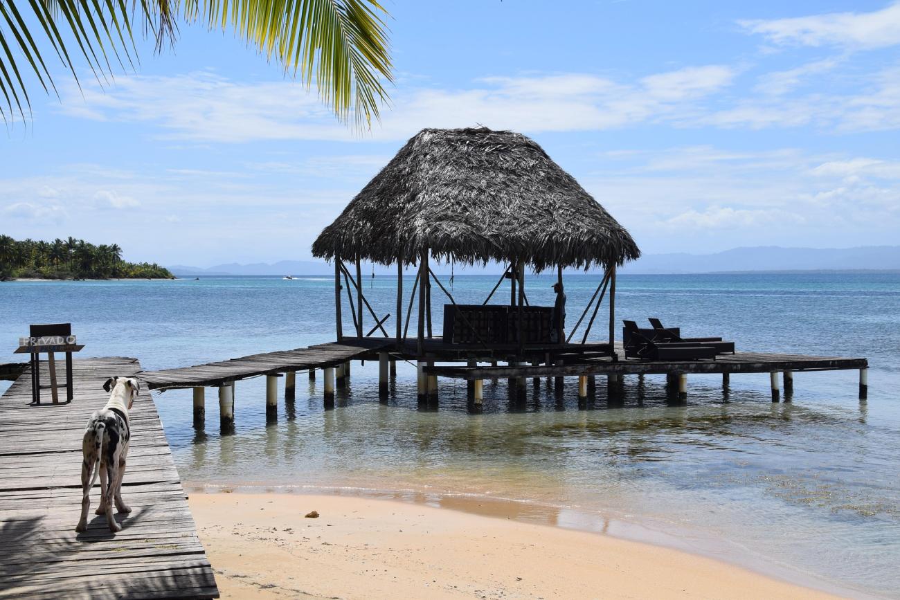 Bocas del Toro: Panamas Inselparadies mit Stränden, Surfspots und Reggae-Vibe