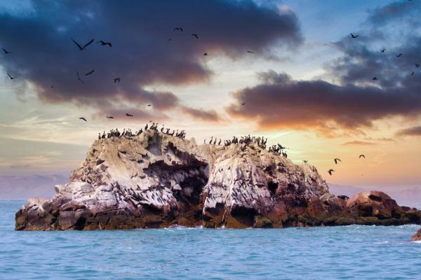 Islas Ballestas: Mehr als nur die peruanischen 