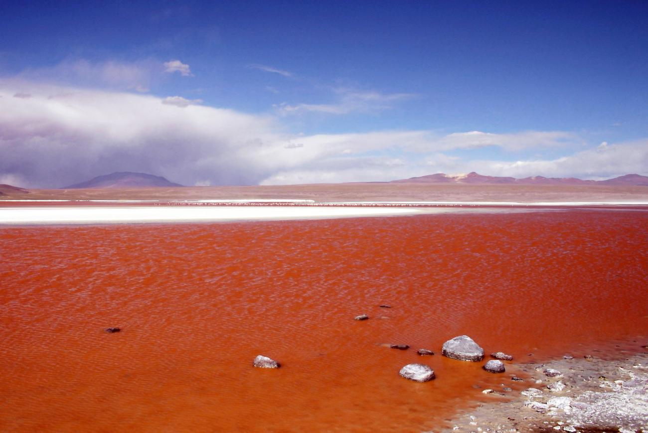 Laguna Colorada: Die atemberaubende rote Lagune im bolivianischen Hochland