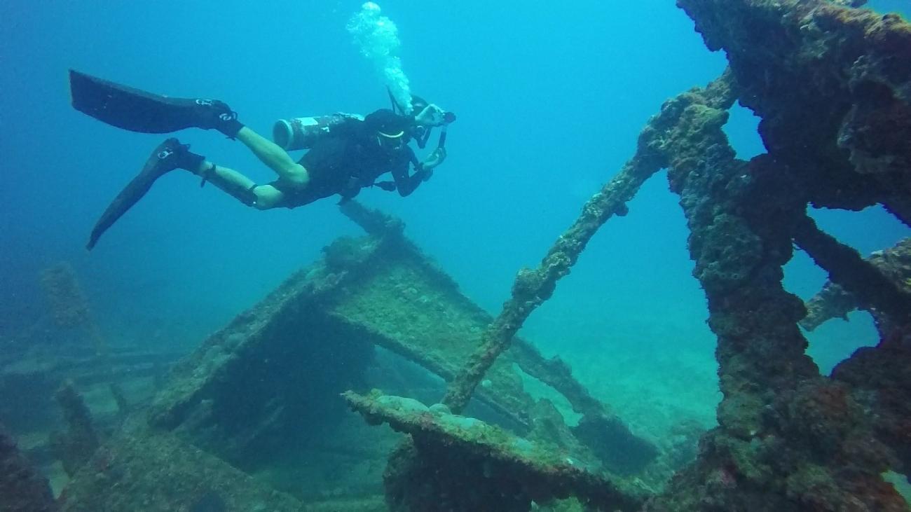 Tauchen in Abrolhos: Die faszinierende Unterwasserwelt vor der Küste Bahias