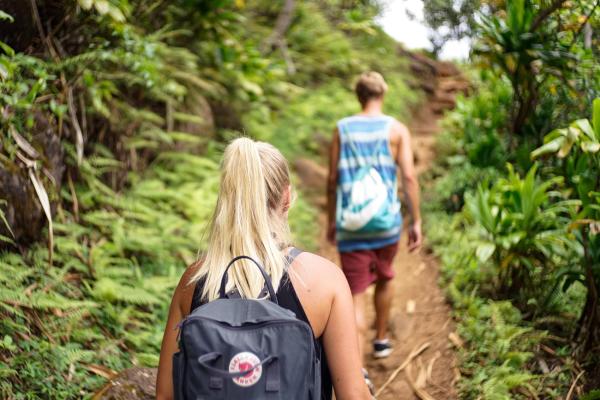 Brasilien für Abenteurer: Wandern im Amazonas-Regenwald