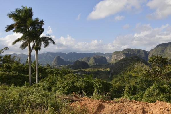 Erkunde das Viñales-Tal: Ein Paradies für Naturfreunde und Wanderer